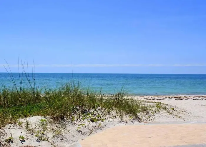 The Salty Cove Irb Clearwater Beach